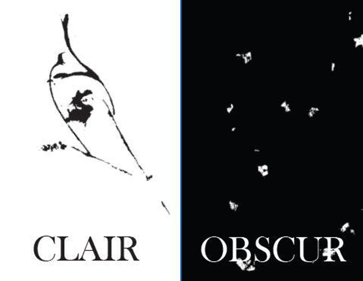 Clair Obscur - Domaine des 2 Fauves - laura-soldan-charles-henri-quantin 