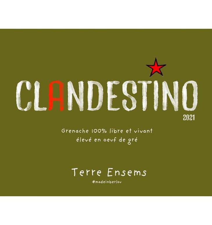 Clandestino - Terre Ensems - krystel-costes-michel-bouisseren 