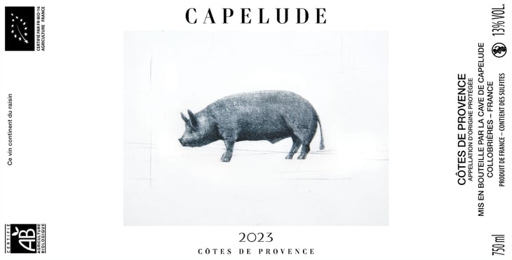 Cochon Blanc - La Ferme de Capelude - pierre-gerin -2021