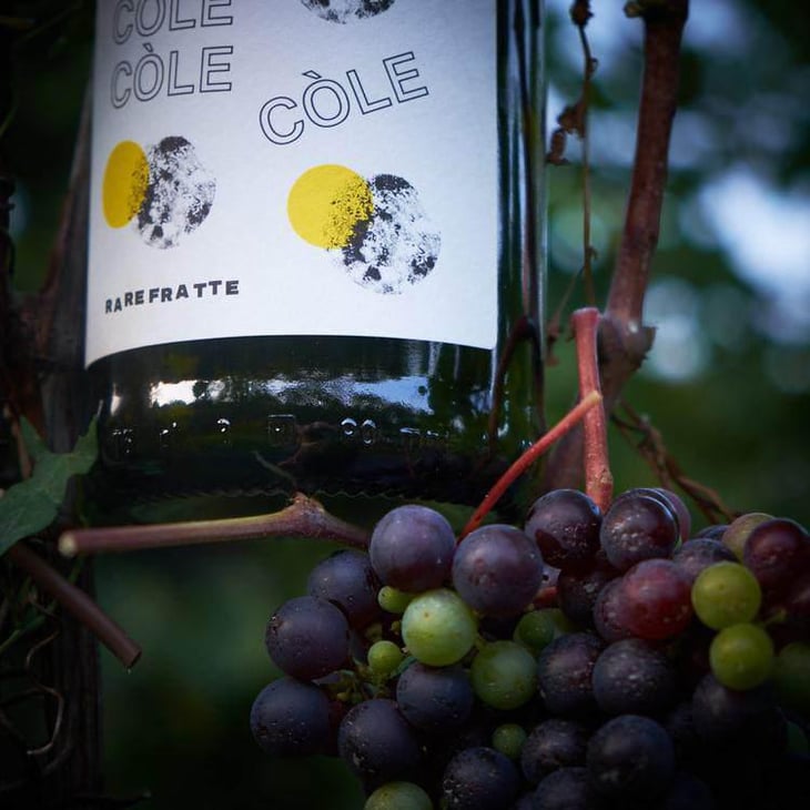 Colè - Azienda Agricola Rarefratte - cristian-moresco 