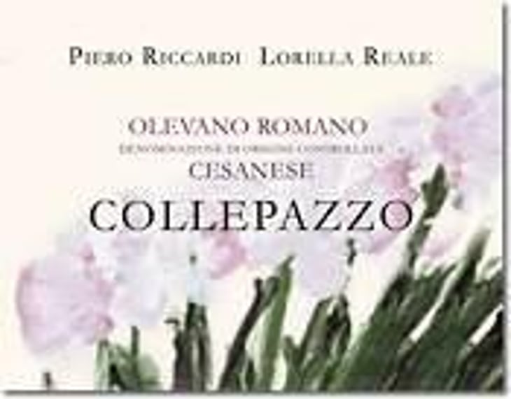 COLLEPAZZO - Cantine Riccardi Reale - piero-riccardi-lorella-reale 
