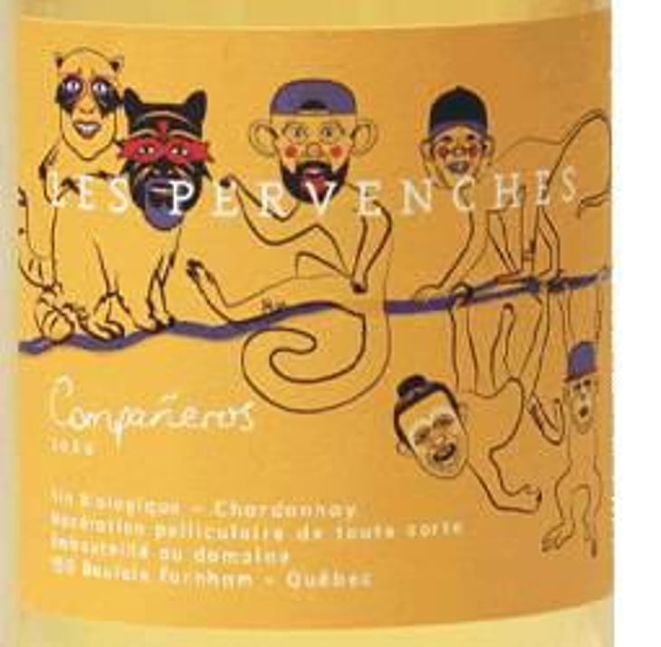 Compañeros - Les Pervenches - veronique-hupin-michael-marler 