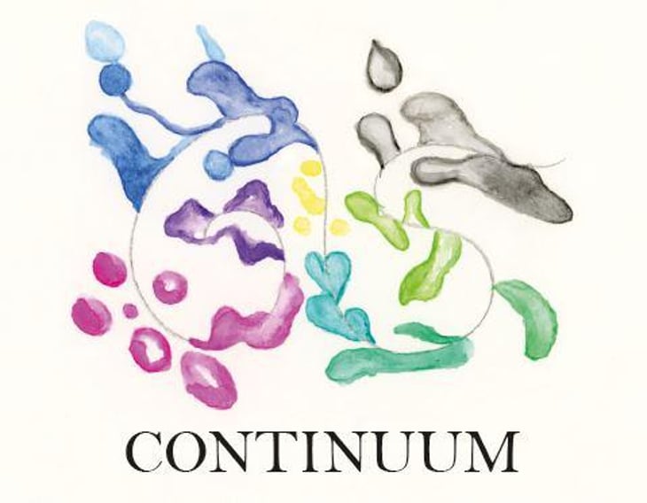 Continuum - Domaine des 2 Fauves - laura-soldan-charles-henri-quantin 