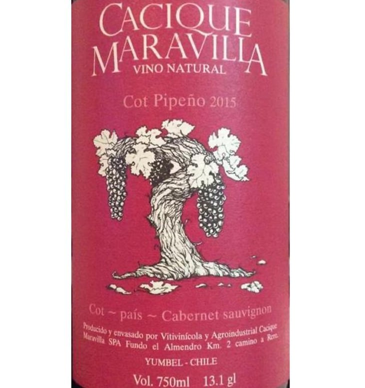 Cot Pipeño - Cacique Maravilla - manuel-moraga 