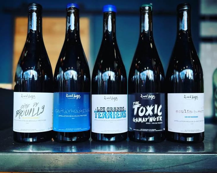 Côte de Brouilly - David Large - celia-rostand-et-david-large -2020