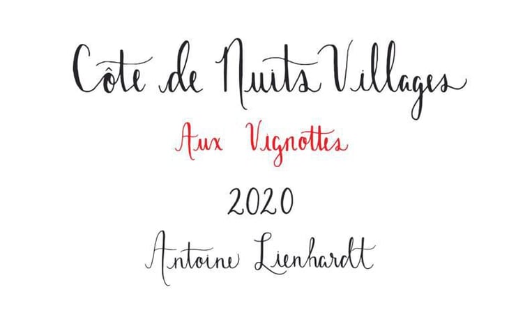 Côte de Nuits-Villages " Aux Vignottes" (Label from 2020) - Antoine Lienhardt - antoine-lienhardt 