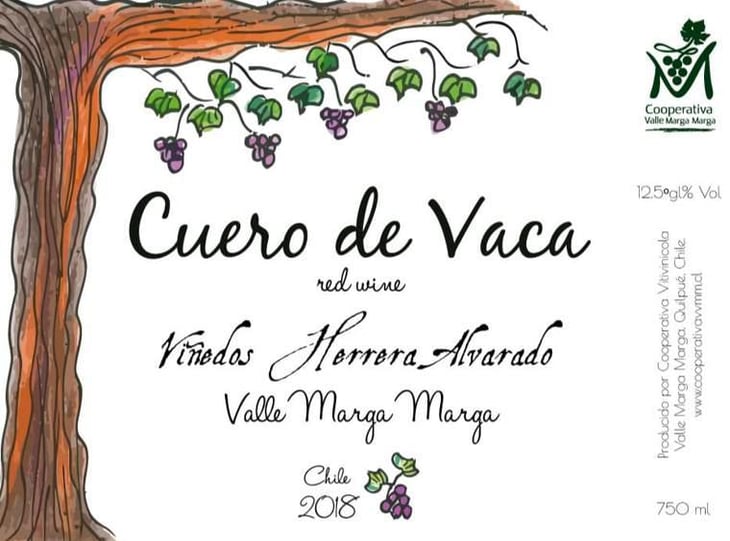 Cuero de Vaca - Viñedos Herrera Alvarado - carolina-alvarado-arturo-herrera 
