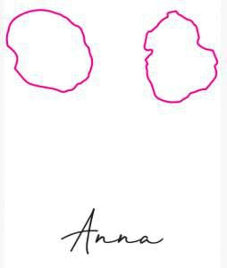 Cuvée Anna - Gönc Winery / Grape Adbuction - peter-gonc 