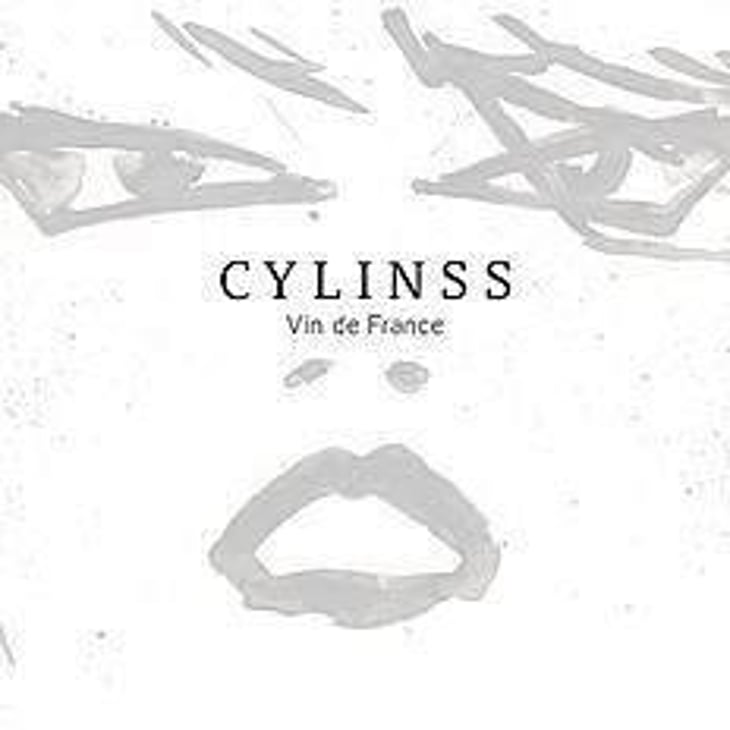 Cylinss - Trescol é Bouit - sandro-trescol-jonathan-bouit 