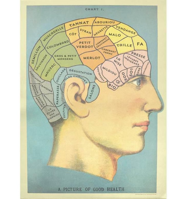 Dans la tête du Vigneron - Vignoble Bucquet - ludovic-bucquet 