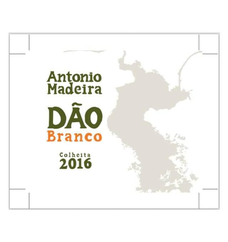 Dão Branco Colheita - António Madeira - antonio-madeira 