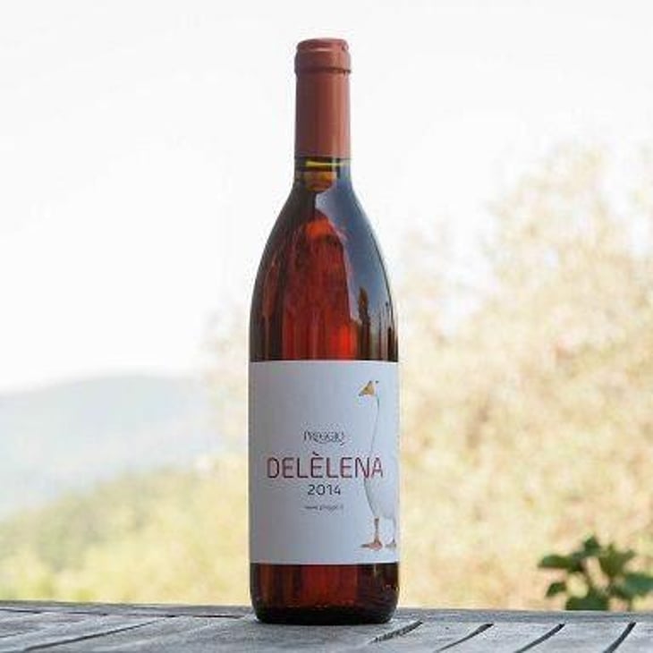 Delèlena Rosato - Azienda Agricola il Preggio - bruno-ed-elena-piarulli 