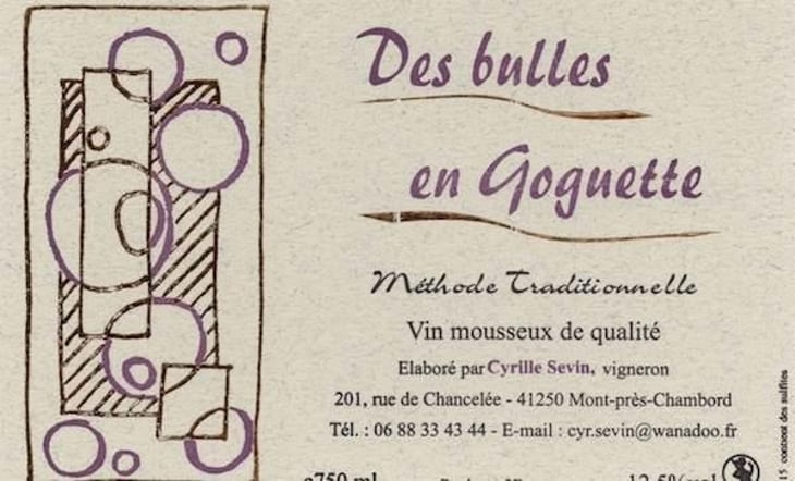 Des Bulles en Goguette - Cyrille Sevin - cyrille-sevin 
