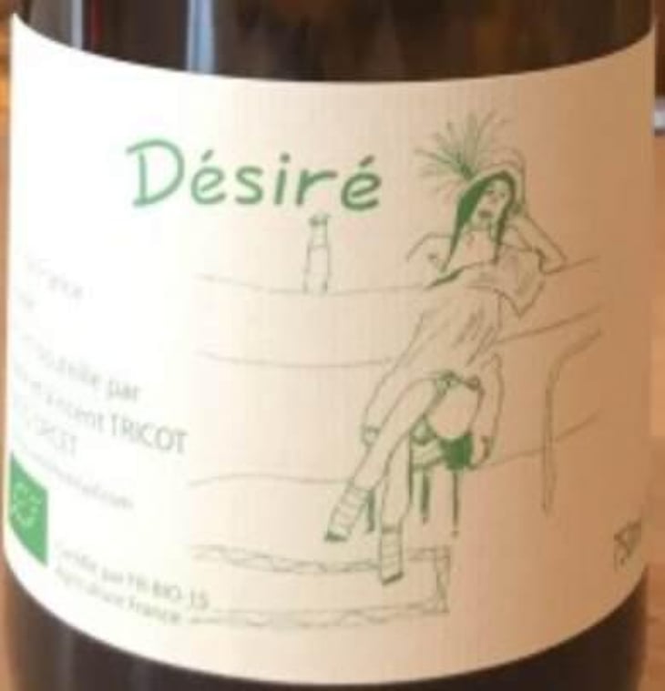 Désiré - Marie et Vincent Tricot - vincent-et-marie-tricot 