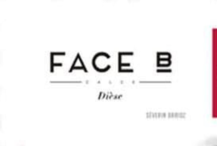 Dièse - Face B - severin-barioz-mathilde-barioz-ceccon 