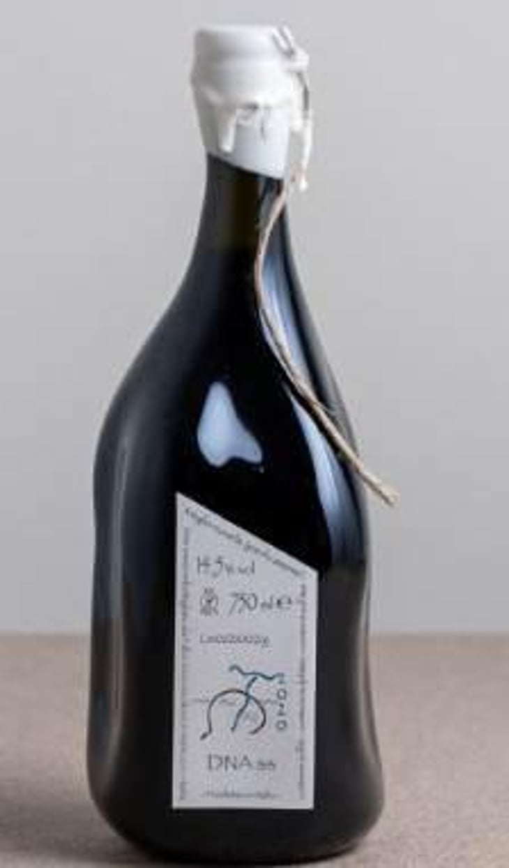 DNAss - Azienda Agricola Fabio Gea - fabio-gea 