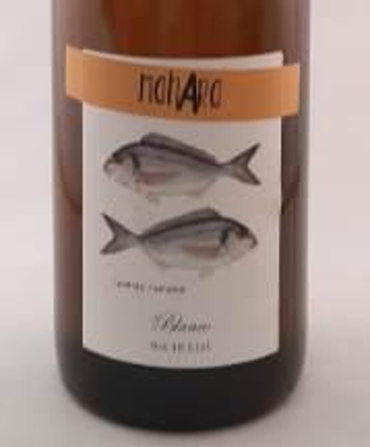 Dorada - Bodega Vinificate - Mahara Viticultores - jose-miguel-gomez 