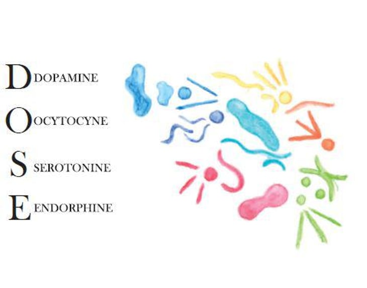 D.O.S.E - Domaine des 2 Fauves - laura-soldan-charles-henri-quantin 