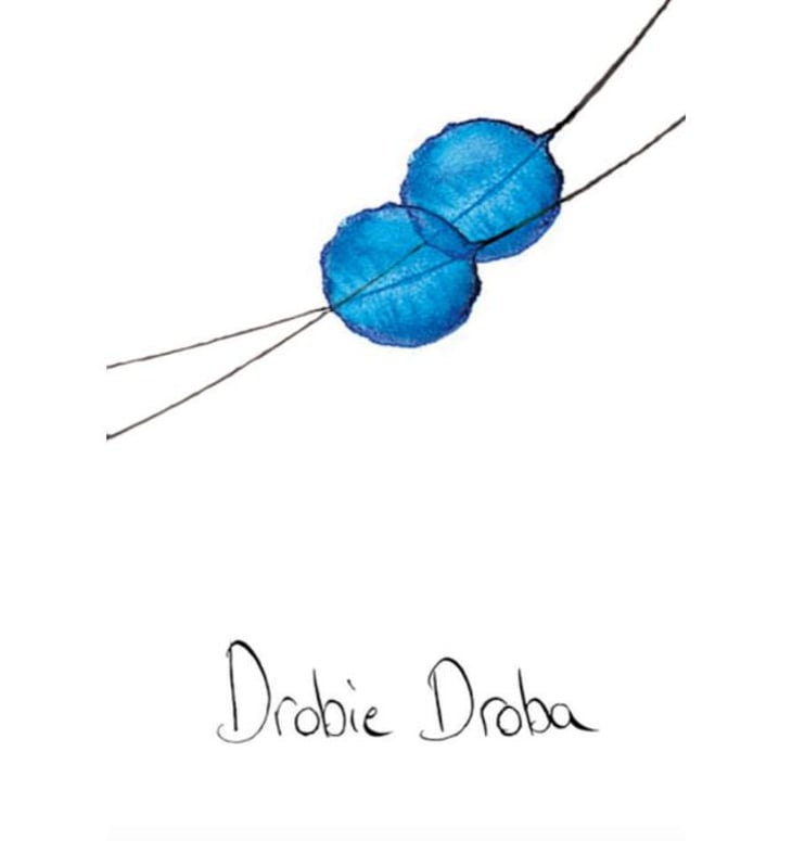 Drobie Droba - Le vin des Pauzes - florence-limousin-damien-aube 