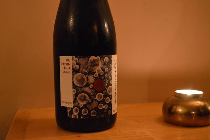 Du raisin à la lune - AntocyÂme - muriel-zoldan -2018