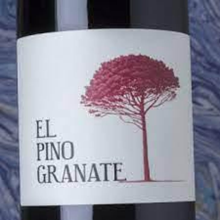 El Pino Granate - Barranco Oscuro - manuel-lorenzo-valenzuela -2009