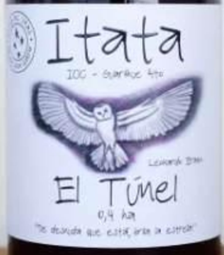 El Túnel - A Los Viñateros Bravos / Onda Brava - leonardo-erazo 