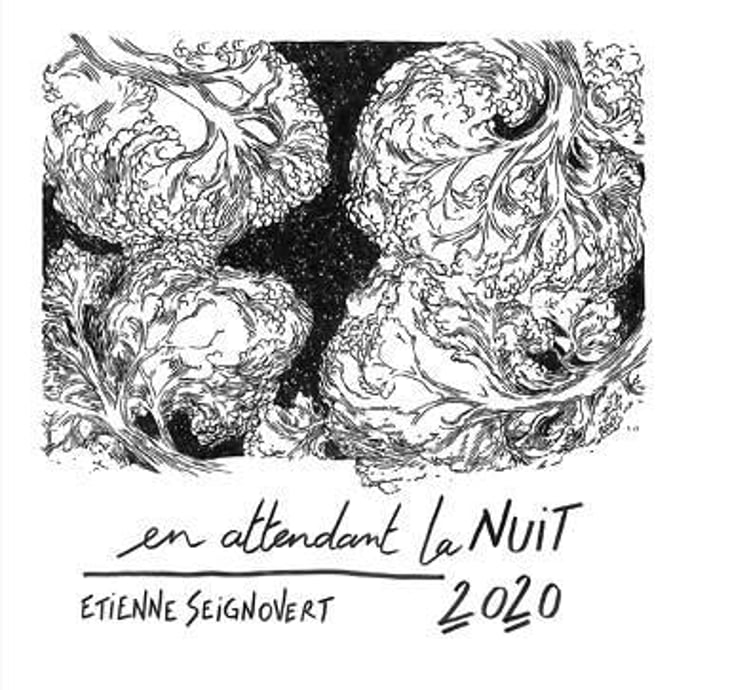En Attendant La Nuit - Domaine Etienne Seignovert - etienne-seignovert 