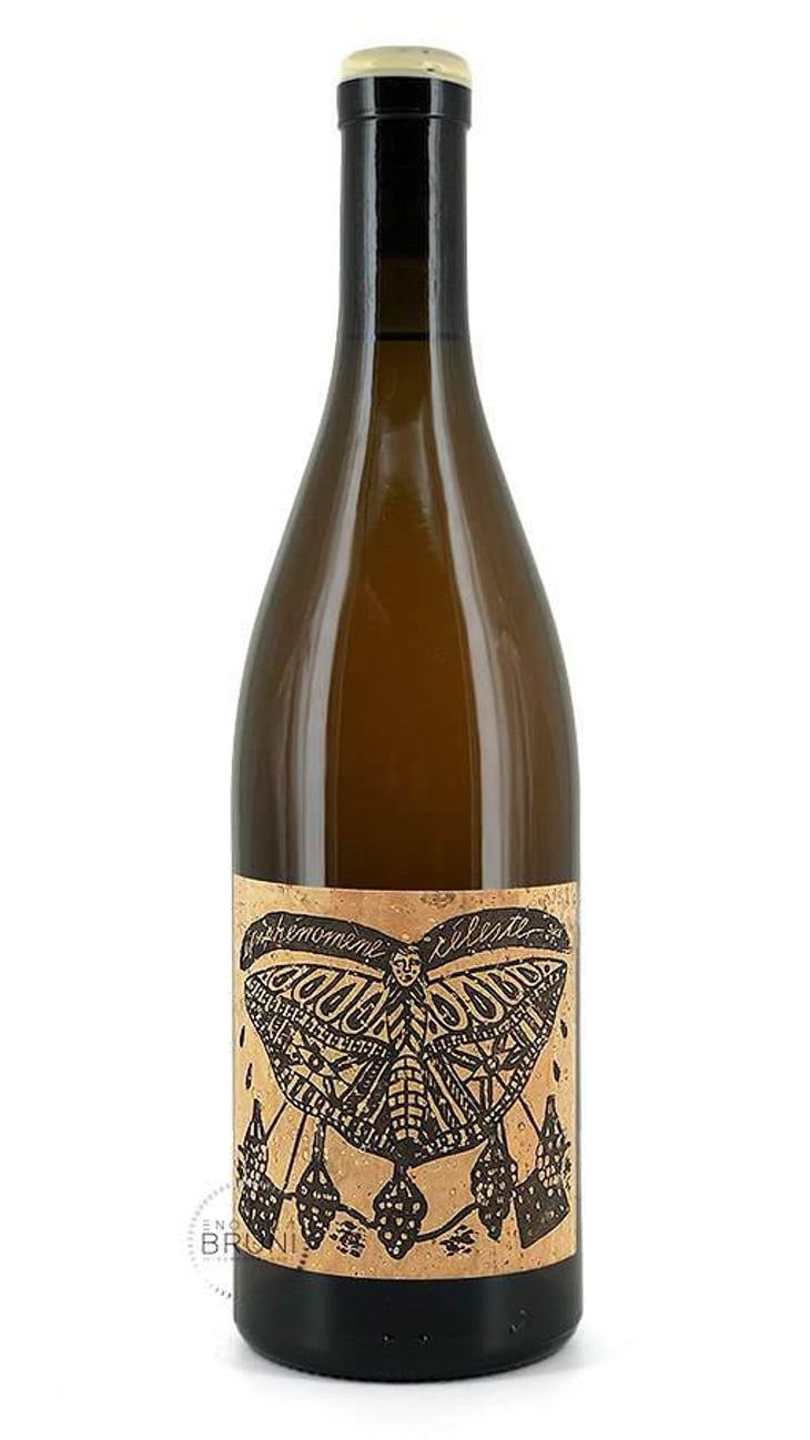 Epiphenomene Celeste - La Cave Des Nomades - jose-carvalho-paulina-srzednicka 