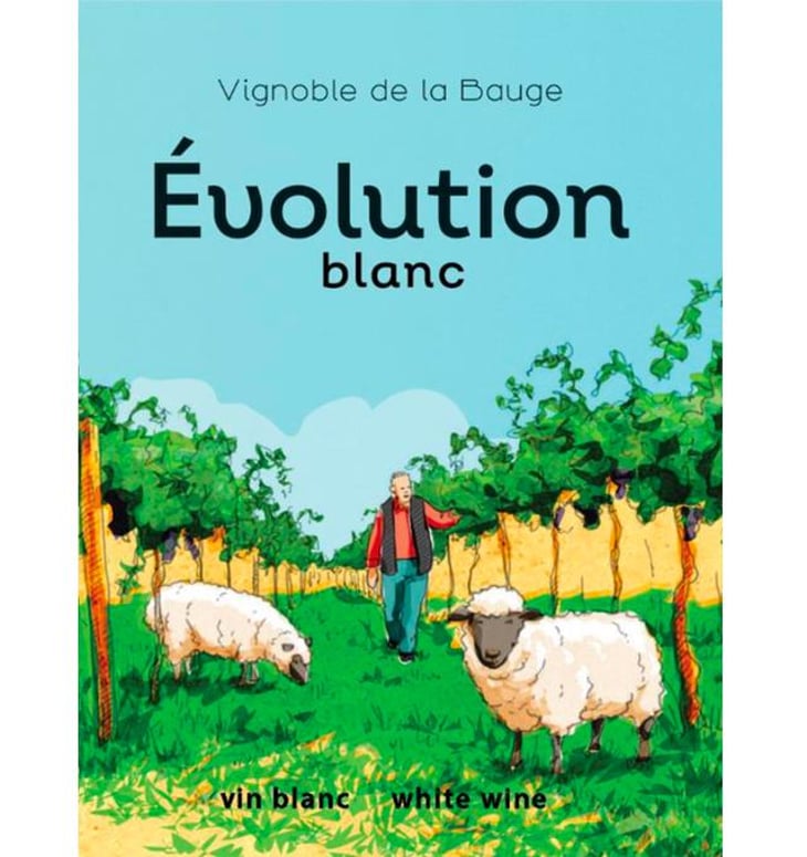Évolution Blanc - Vignoble de la Bauge - simon-naud 