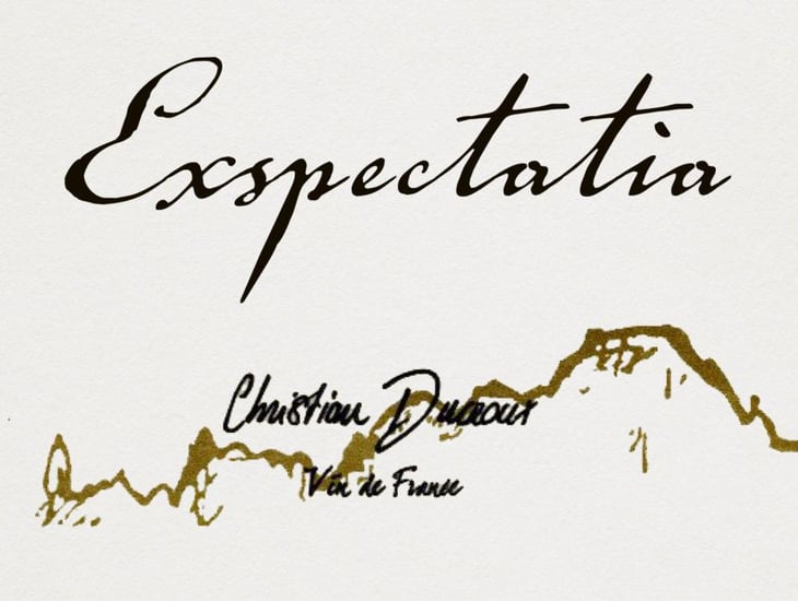 Exspectatia - Christian Ducroux - christian-ducroux 
