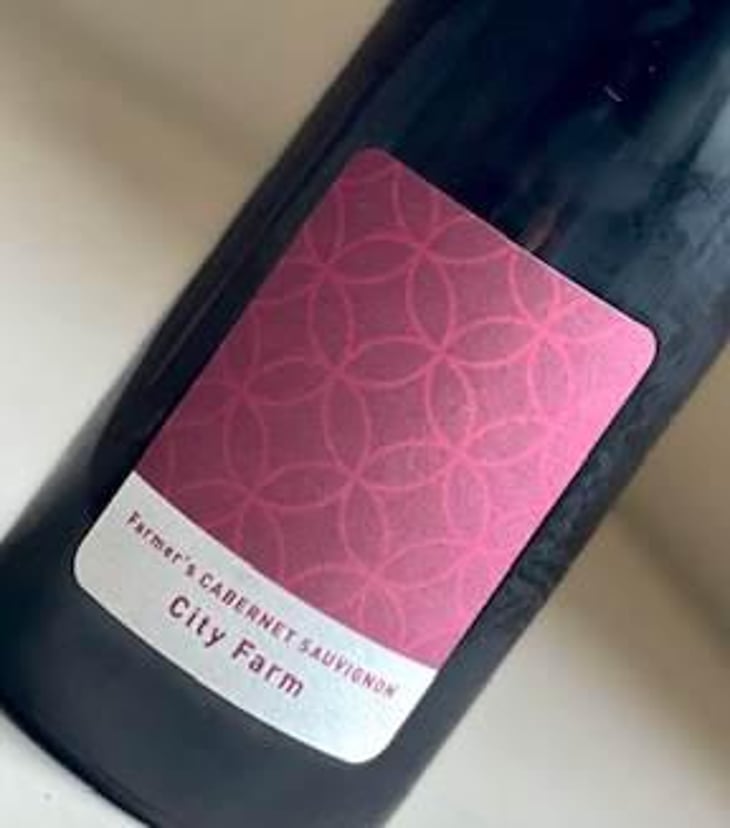 Farmer's Cabernet-Sauvignon - Fujimaru Brewery (Shimanouchi / Kiyosumi Shirakawa) - satoshi-fujimaru 