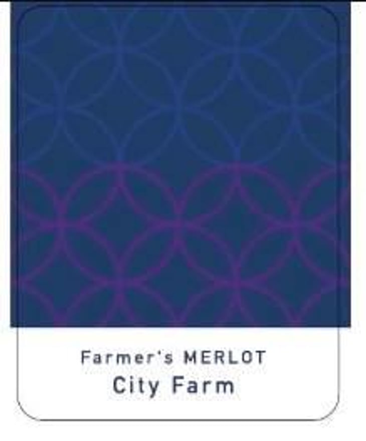 Farmer's Merlot - Fujimaru Brewery (Shimanouchi / Kiyosumi Shirakawa) - satoshi-fujimaru 