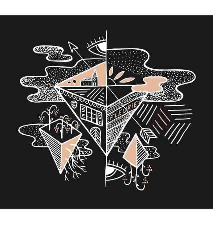 Fleurie - Bonnet-Cotton - marine-bonnet-pierre-cotton 