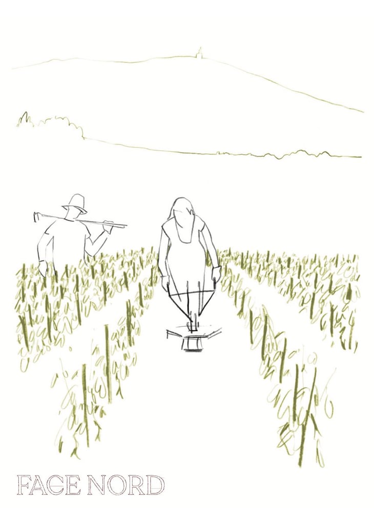 Fleurie "Charbonnières" Cuvée Face Nord - Domaine Chapel - david-chapel-michele-smith-chapel 