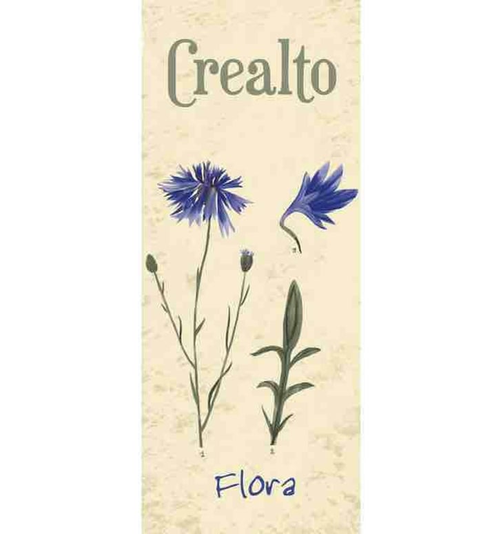 Flora - Azienda Agricola Crealto - luigi-eleonora-costa 