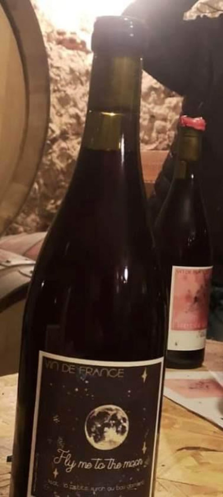 Fly me to the Moon - Petite Nature - pauline-maziou 