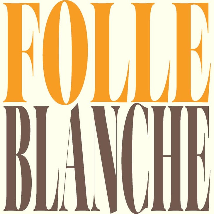 Folle Blanche - Eric Chevalier Vigneron - gaelle-et-eric-chevalier 