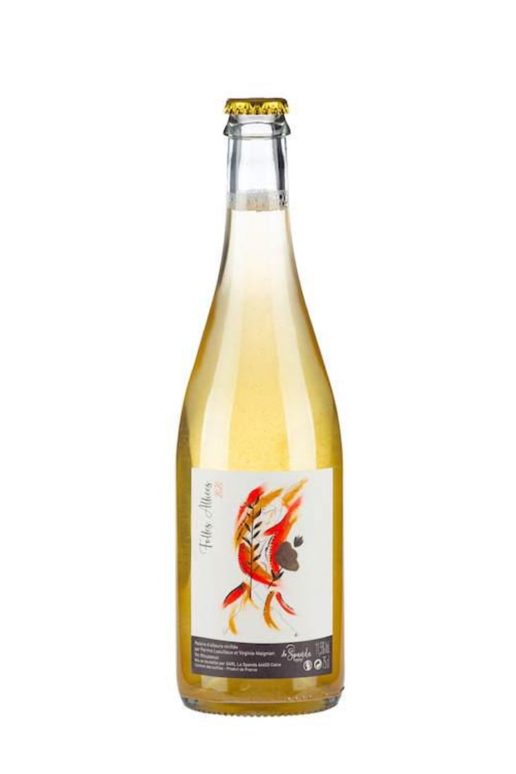 Folles Alliées - La Spanda - virginie-maignien -2020