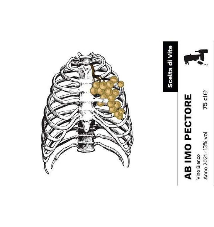 AB IMO PECTORE - Scelta di Vite - gianluca-sinigaglia 