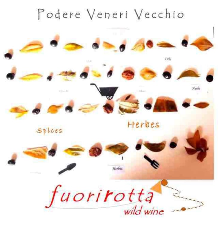 Fuorirotta - Podere Veneri Vecchio - raffaello-annicchiarico 