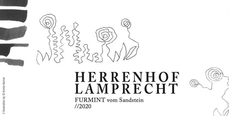Furmint vom Sandstein - Herrenfof Lamprecht - gottfried-lamprecht 