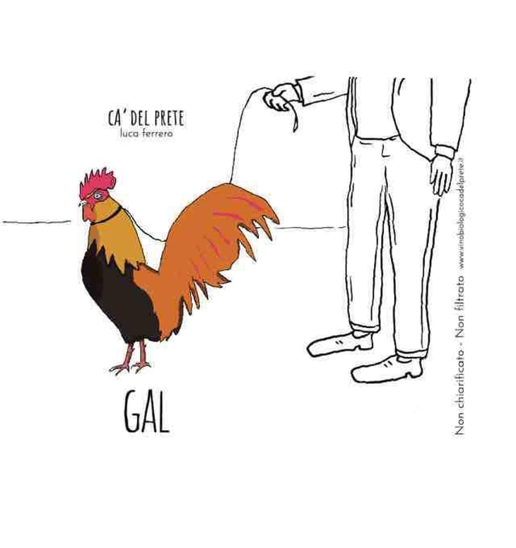 Gal - Cà del Prete - luca-ferrero 