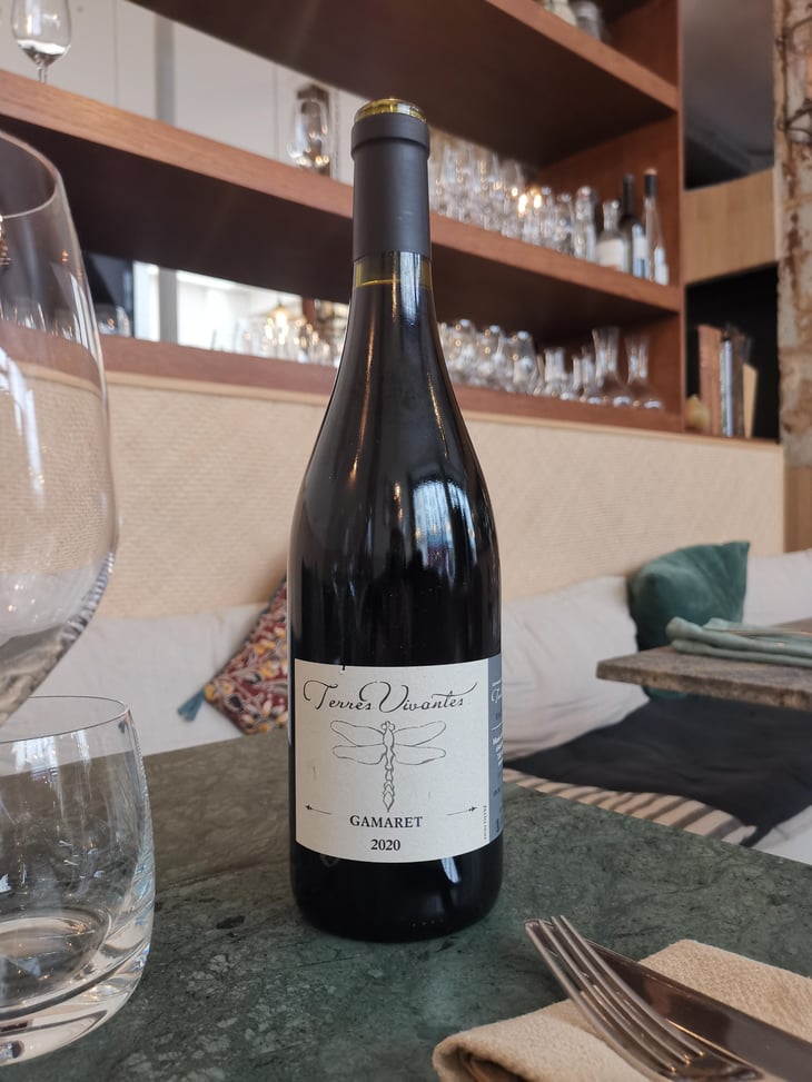 Gamaret - Terres Vivantes - marie-ludovic-gros -2020