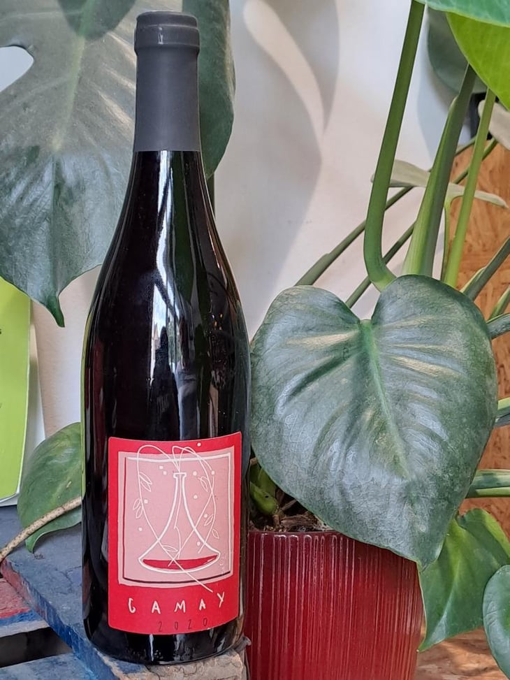 Gamay 2020 - Jean-Christophe Jezequel - jean-christophe-jezequel -2020