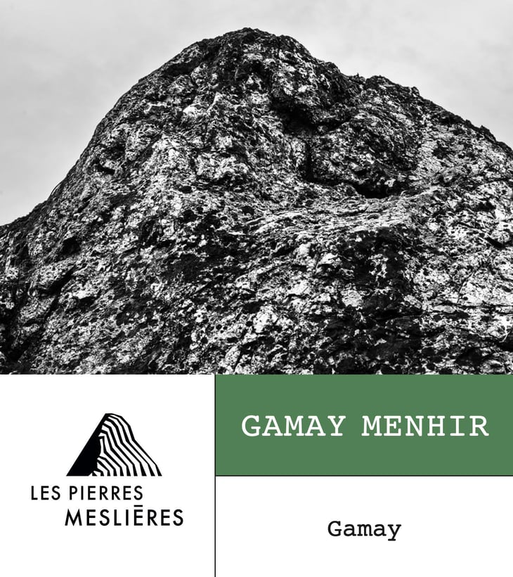 Gamay Menhir - Les Pierres Meslières - frederic-monnier 