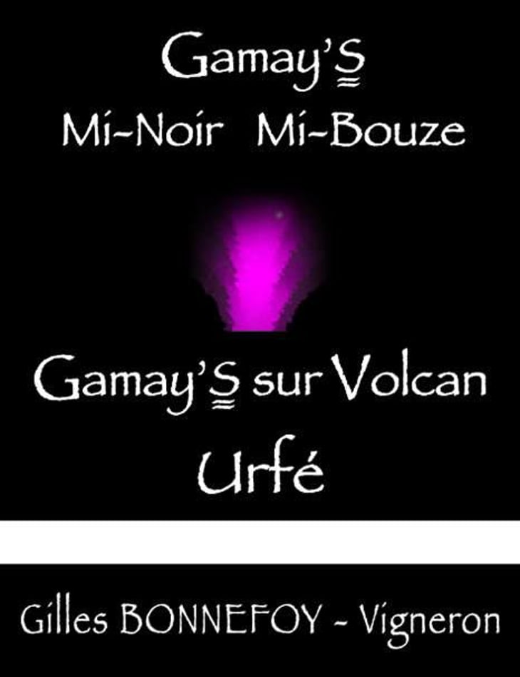 Gamay’s Mi-noir Mi-Bouze - Vins de la Madone - gilles-bonnefoy 