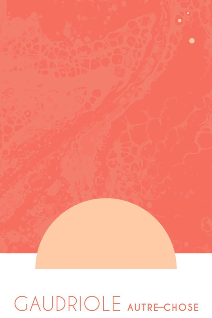 Gaudriole - Domaine Autre Chose - tiphaine-pierlot-corentin-le-bolloch -2023
