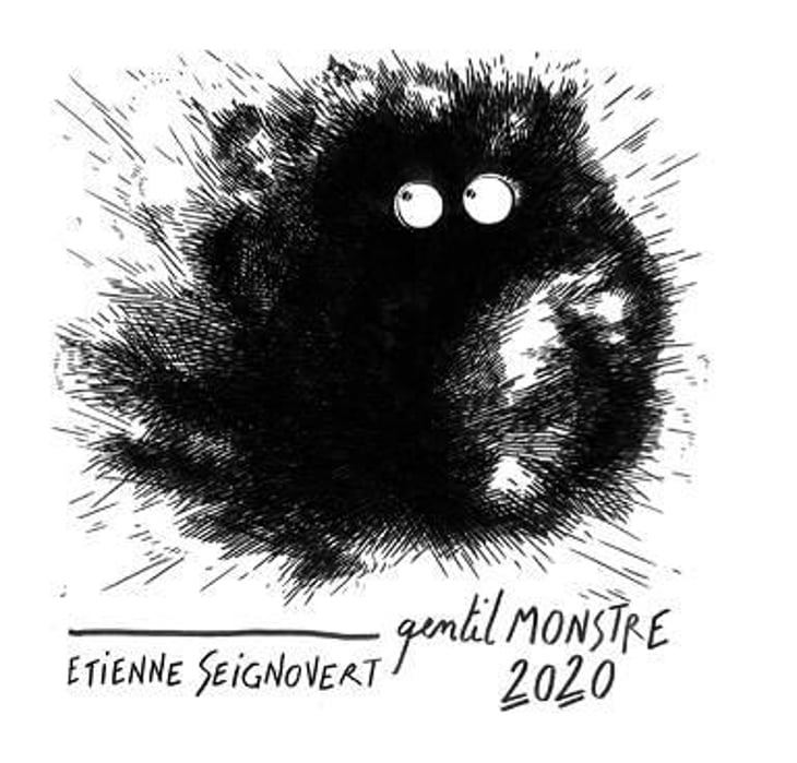 Gentil Monstre - Domaine Etienne Seignovert - etienne-seignovert 