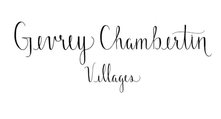 Gevrey Chambertin Villages - Antoine Lienhardt - antoine-lienhardt 