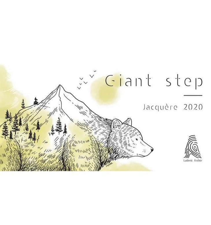Giant Step 2020 - Domaine Ludovic Archer - ludovic-archer -2020